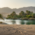 10 Hidden Oases in Dubai: Nature's Best-Kept Secrets